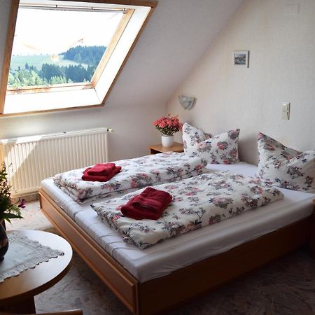 Hotel Carola Schönheide Exteriér fotografie