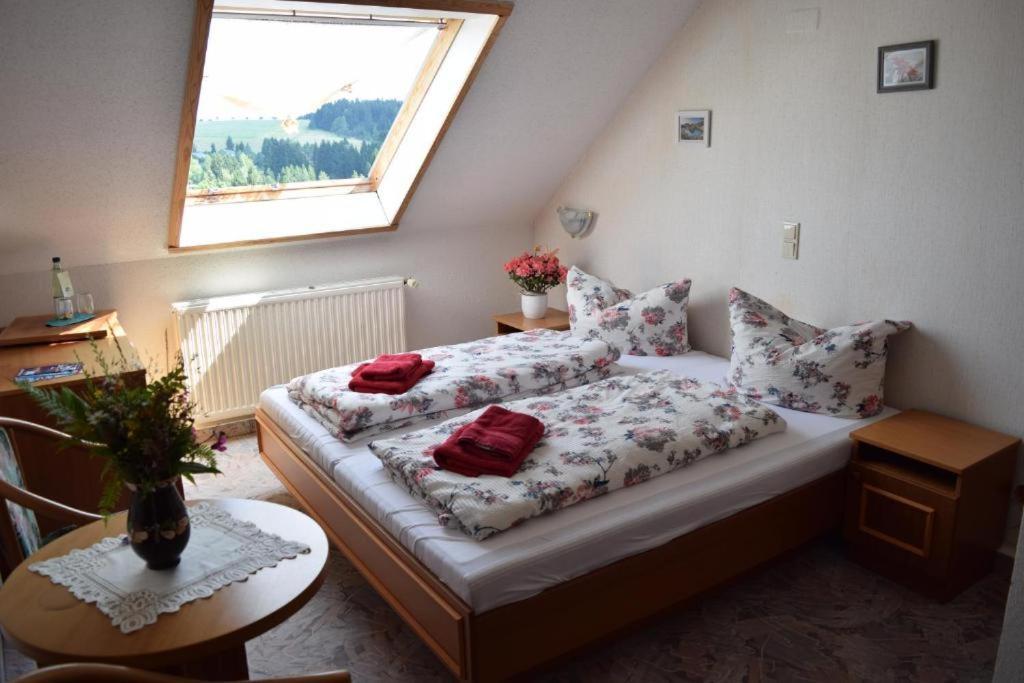 Hotel Carola Schönheide Exteriér fotografie